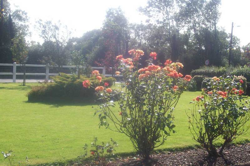 Suncrest Hotel Waterford Kültér fotó
